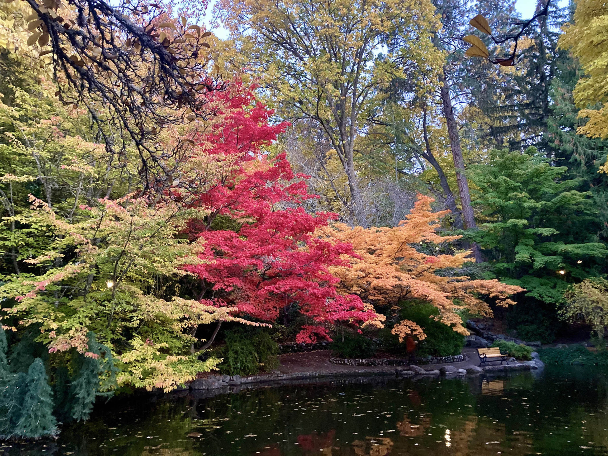 Ashland’s Fall Splendor | ASHLAND GARDEN CLUB